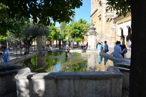 La Mezquita, Courtyard.